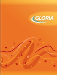 Cuaderno Gloria Tapa Flexible Pla/Nar. x 84 Hojas Rayado