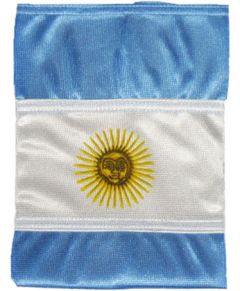 Bandera Argentina con Sol de Poliamida 20x30cm