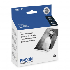 Cartucho Epson T040120 Negro 